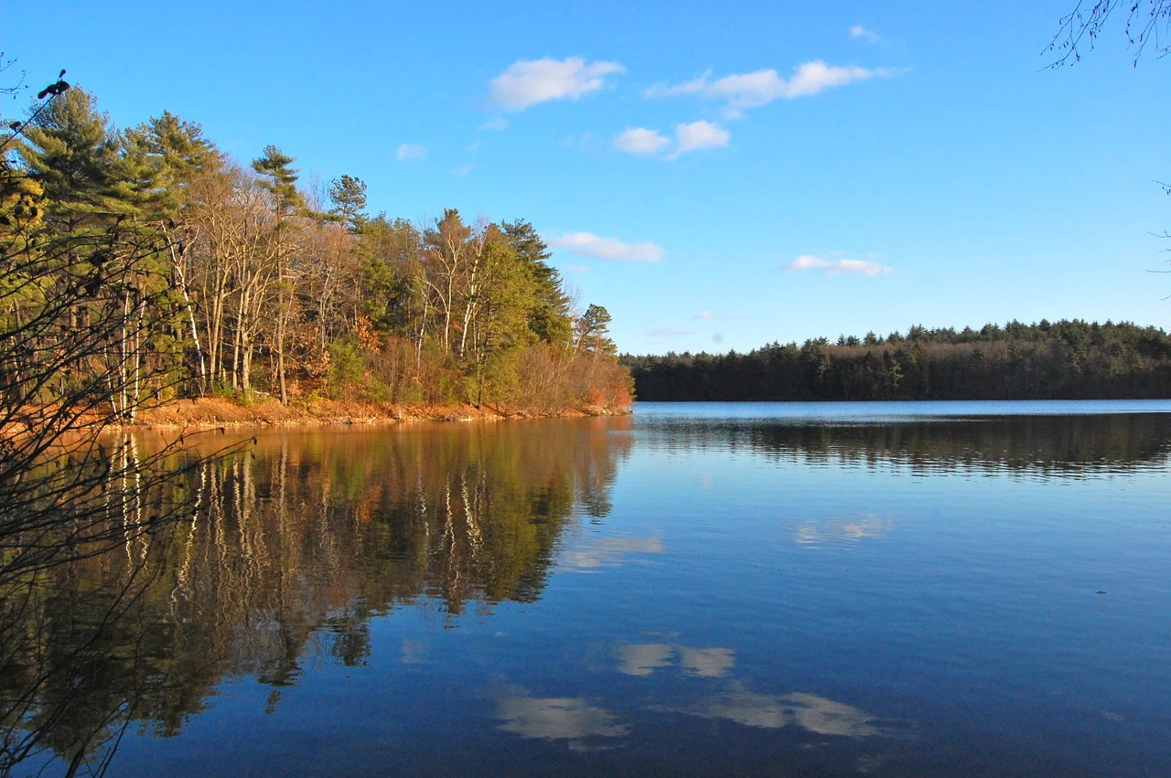 Walden.