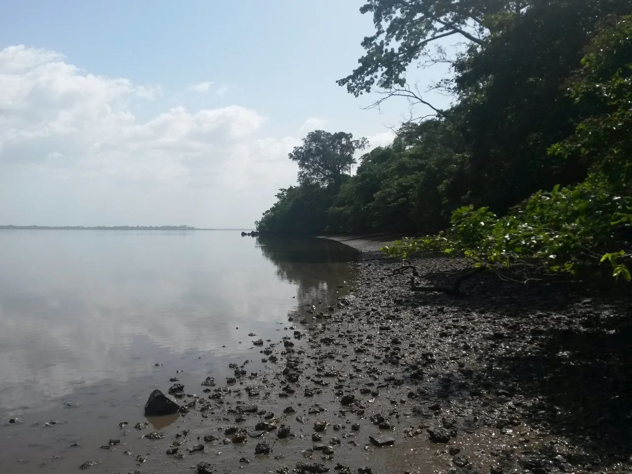 Bunce Island is an island in the Sierra Leone River situated in Freetown Harbour. The island measures houses a castle that was built by a British slave-trading company in c.1670. Tens of thousands of Africans were shipped from here to the North American colonies of South Carolina and Georgia to be forced into slavery, and are the ancestors of many African Americans of the United States.