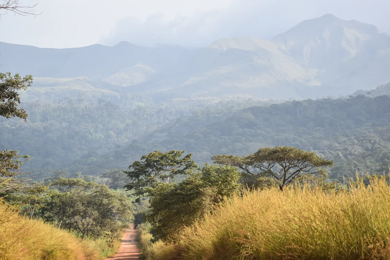 Mount Nimba - border of the reserve