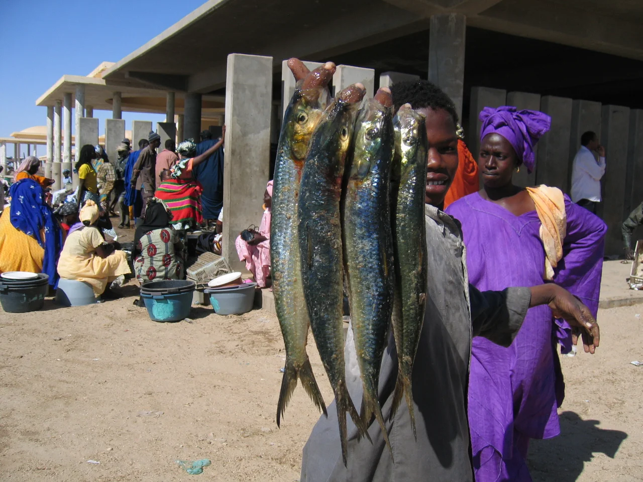 Photograph of fish market, Nouakchott, Mauritania