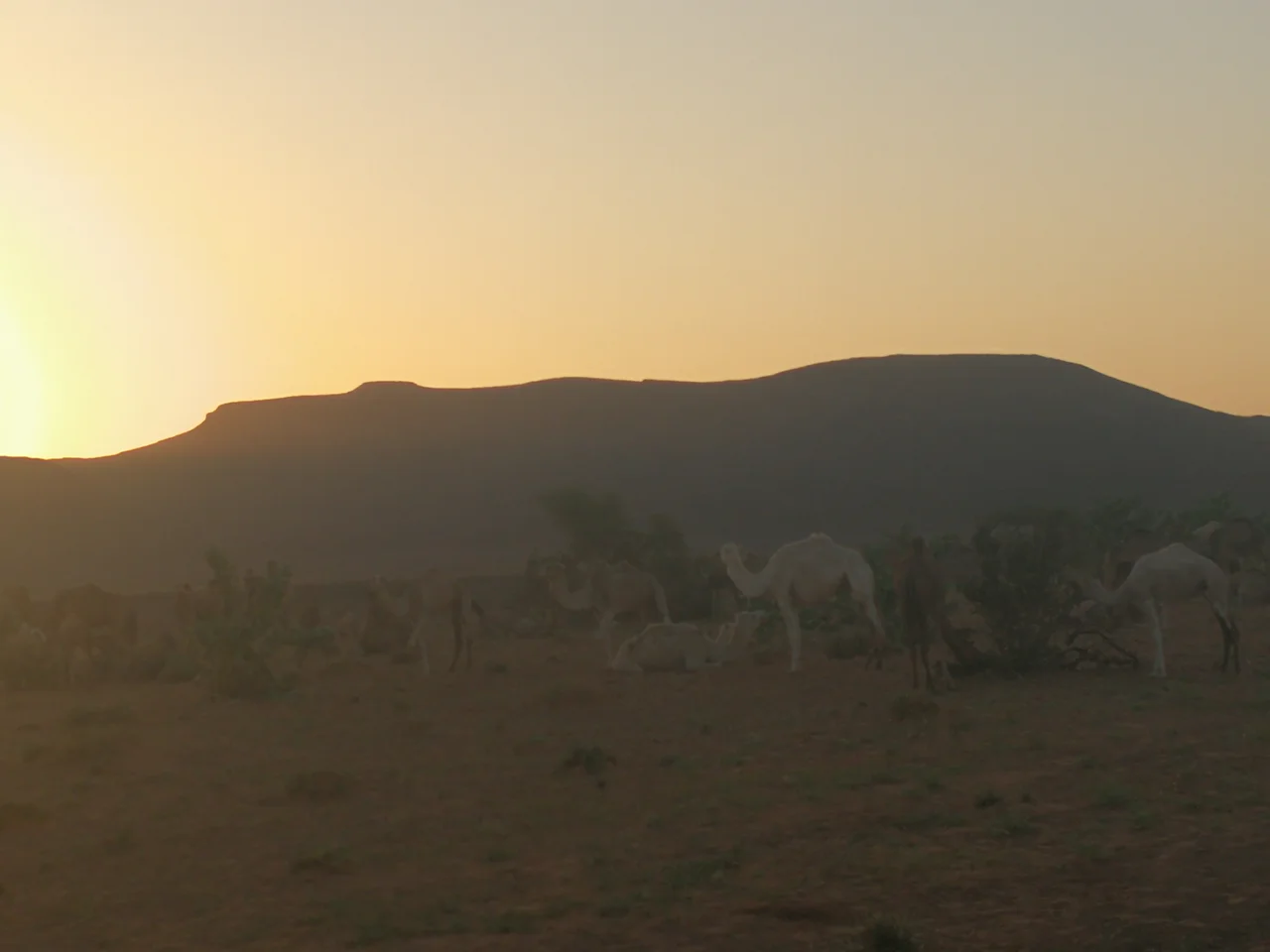 Akjoujt City