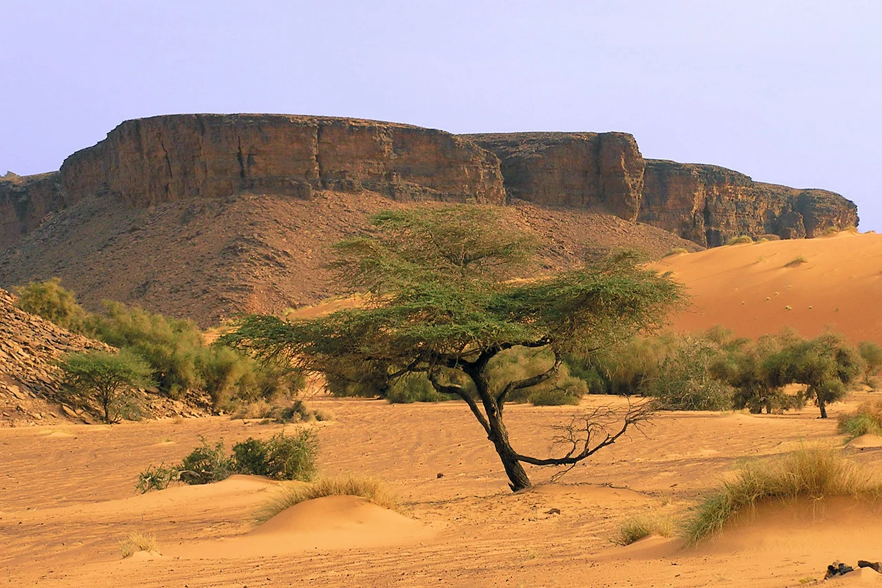 Photo taken in January 2007 by Emmanuel Brunner, Adrar Region of Mauritania