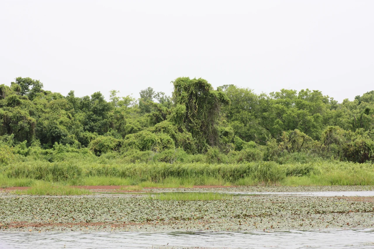 Mare aux Hippopotames, Burkina Faso