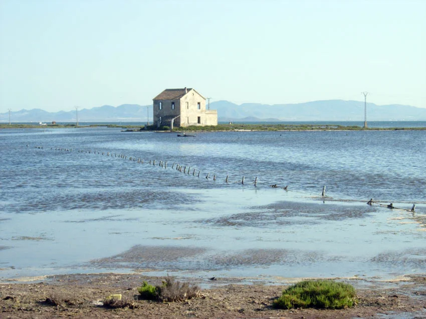 Encañizadas en San Pedro Pinatar