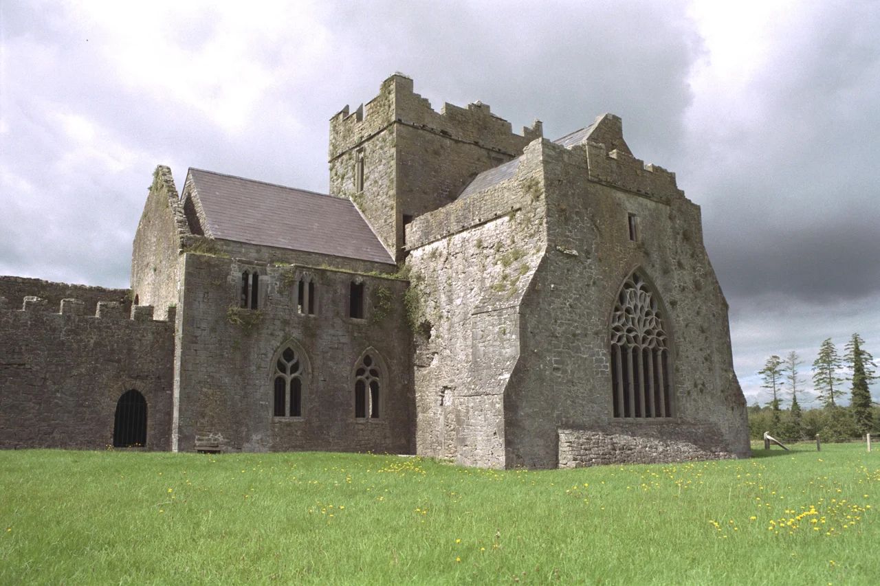 Kilcooly Abbey, County Tipperary, Ireland
View from South East