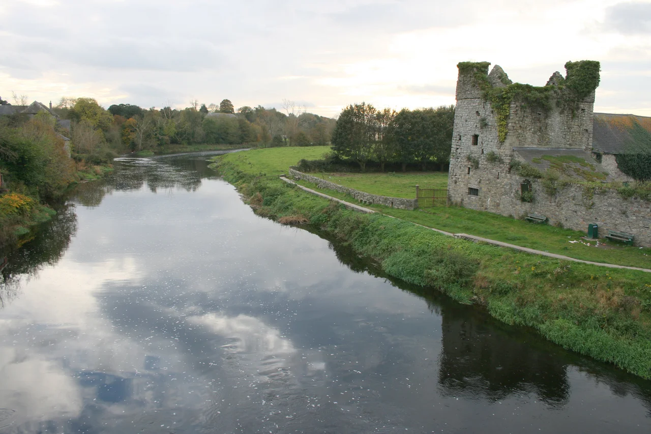 River Nore from the bridge in Thomastown, County Kilkenny, Ireland