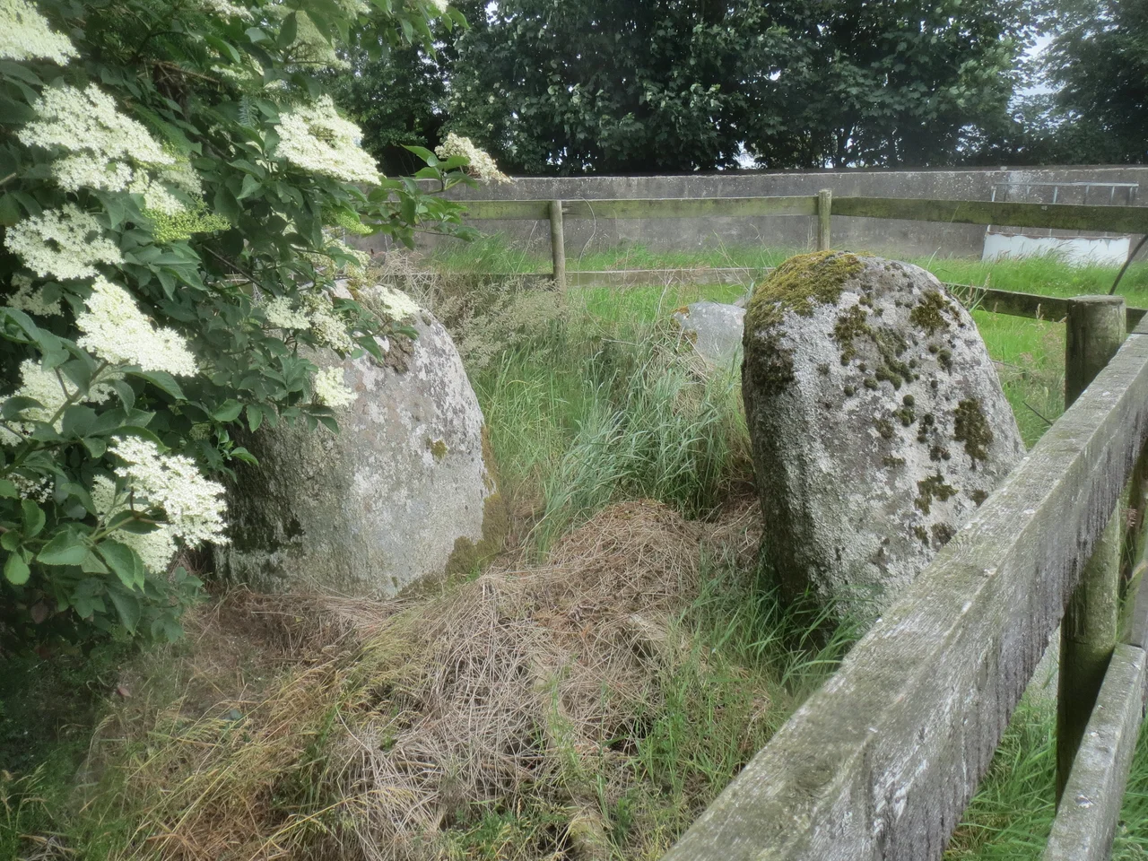 Portal Tomb von Enagh Beg