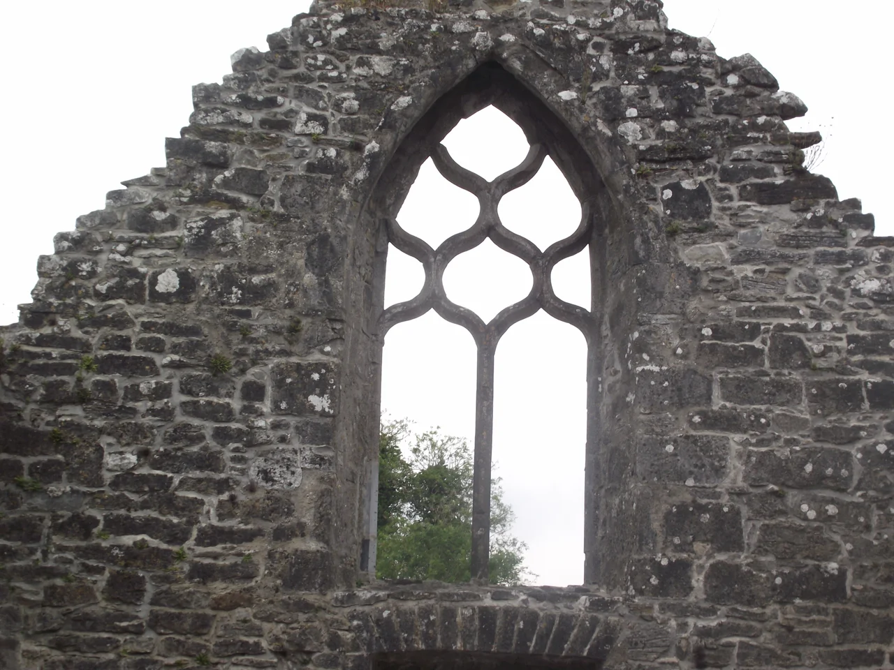 Creevelea Abbey Friary
Photographer ; Aaron Mc Guinness