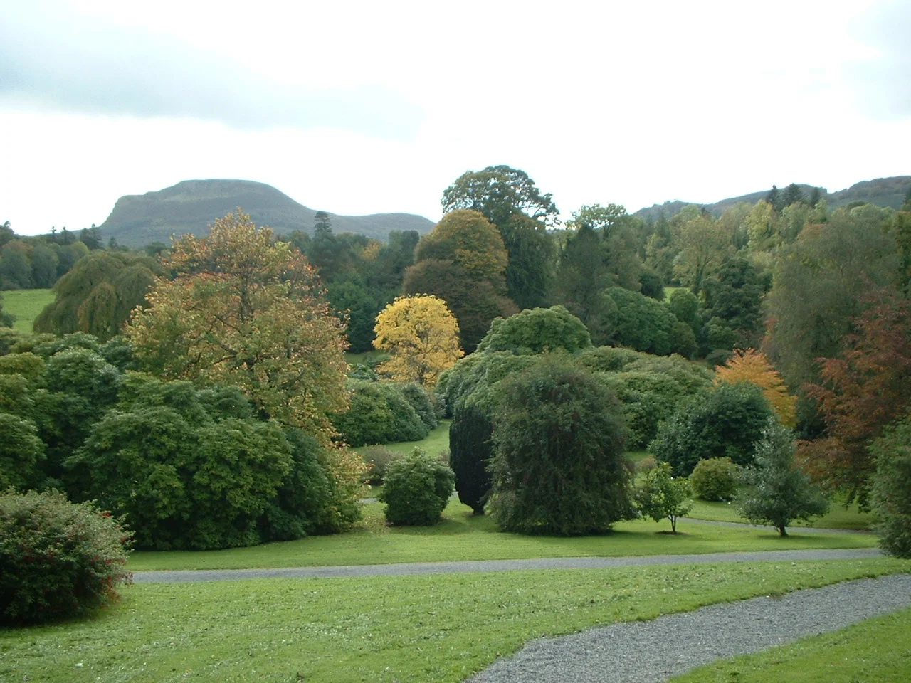 View overlooking the landscaped estate at Florence Court house, near Enniskillen, County Fermanagh, Northern Ireland. Benaughlin Mountain, a batholytic foothill of Cuilcagh stands in the background on the left of the frame.