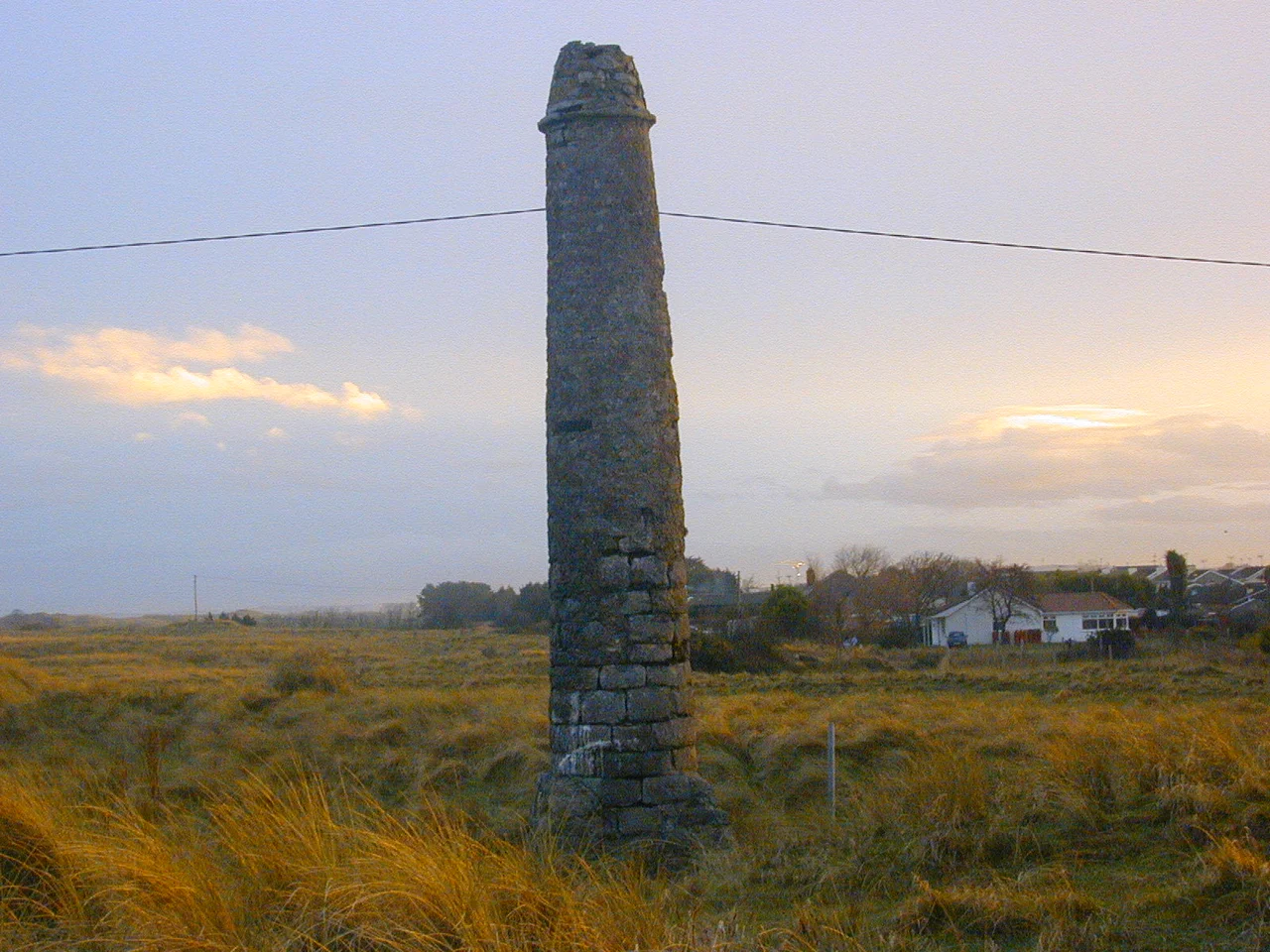 This is the lady's finger. Its is called this because it appears to be a finger - Mornington, County Meath