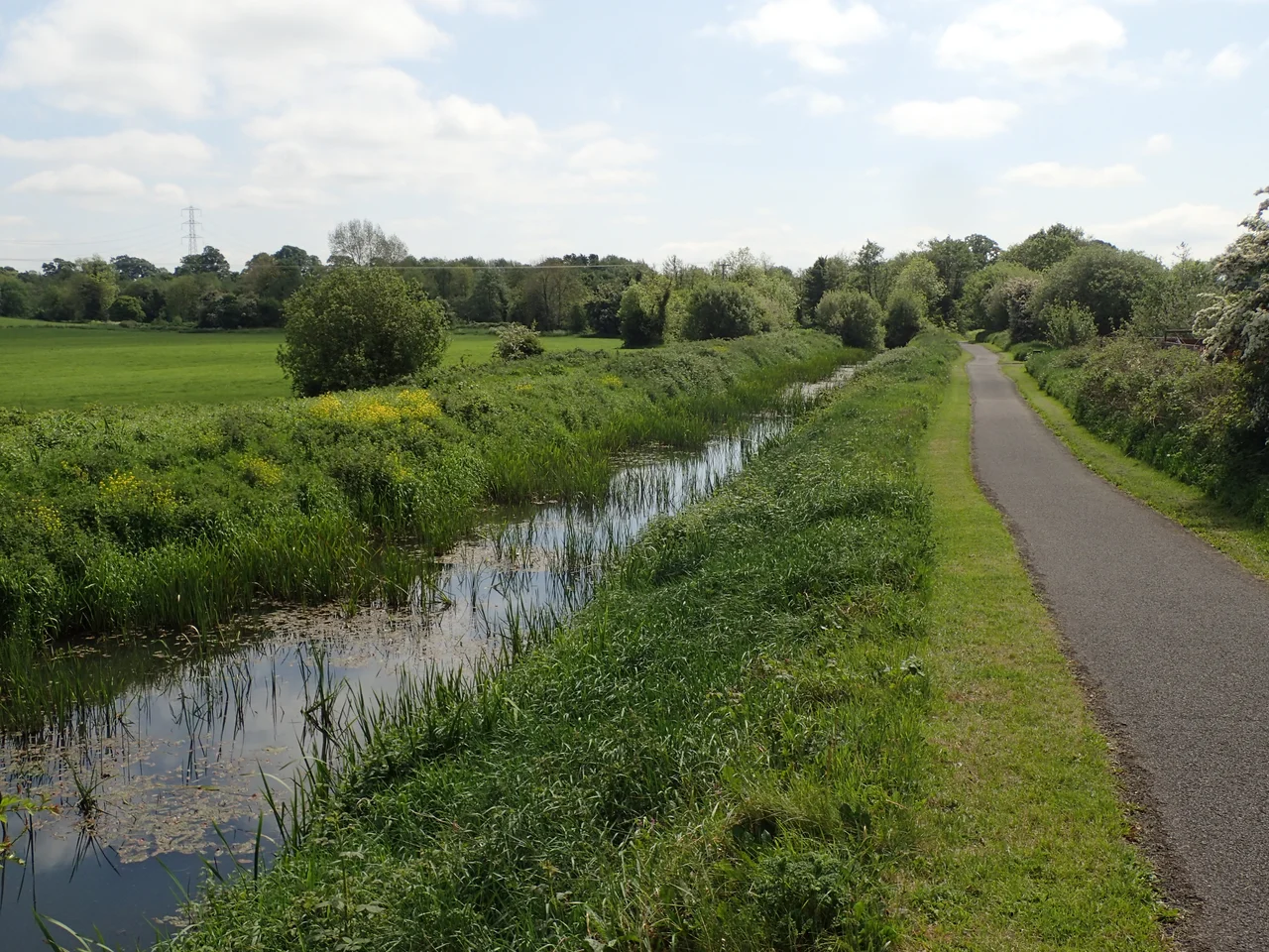 Near Coalisland (1)