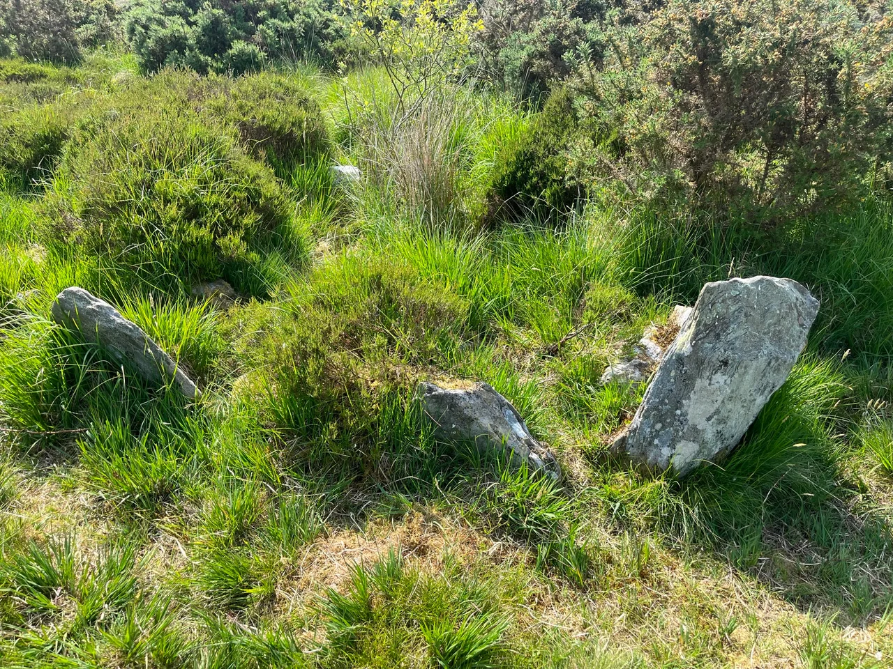 The wedge tomb is part of a collection of ancient monuments that form part of the Ballygroll Prehistoric Landscape.