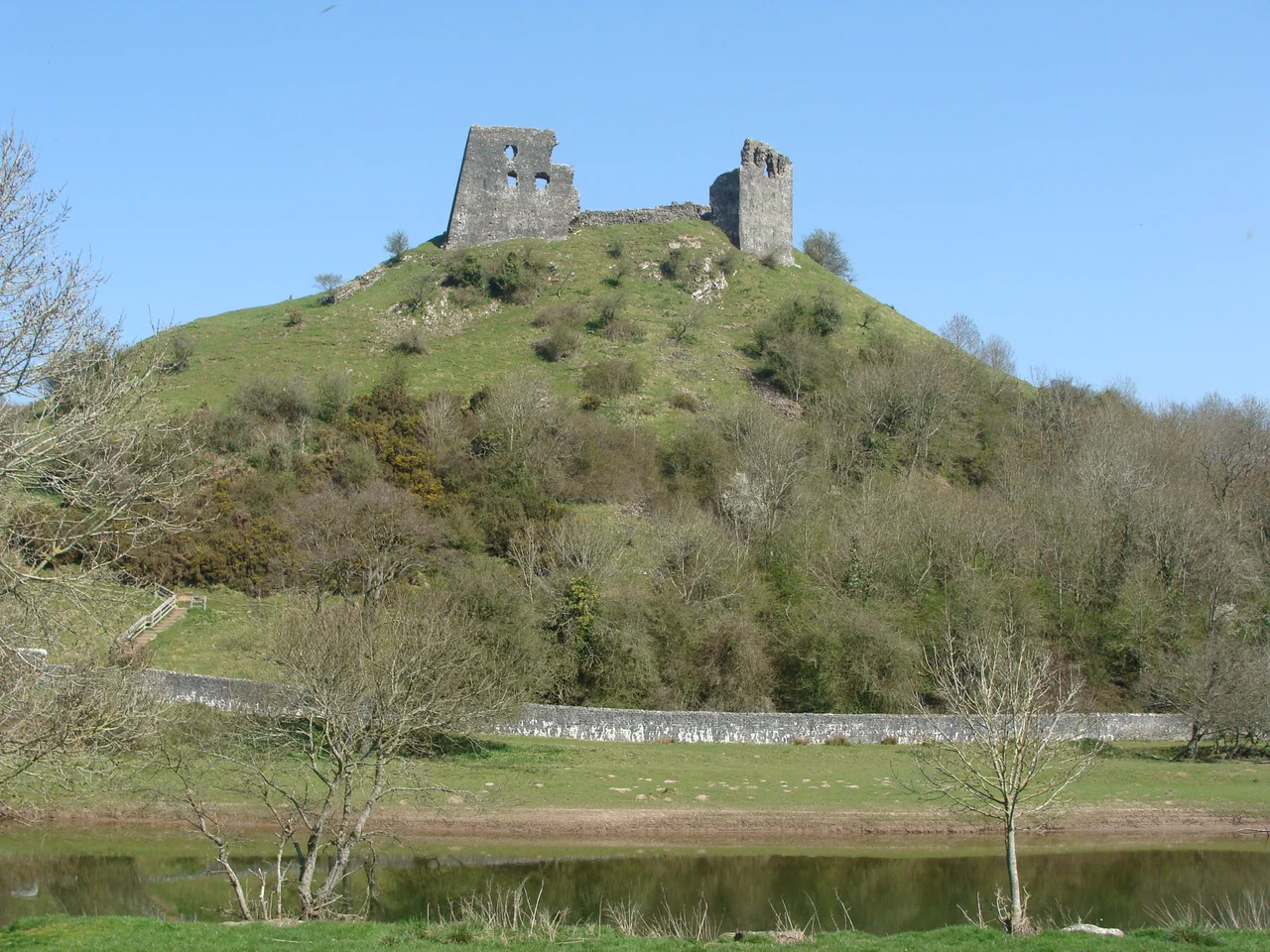 Dryslwyn Castle and the River Towy
