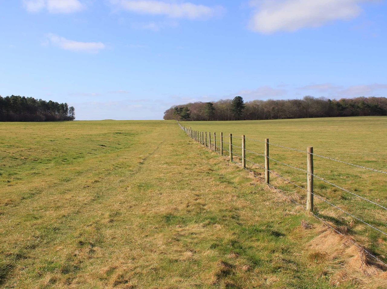 Southern ditch and bank of Stonehenge Cursus