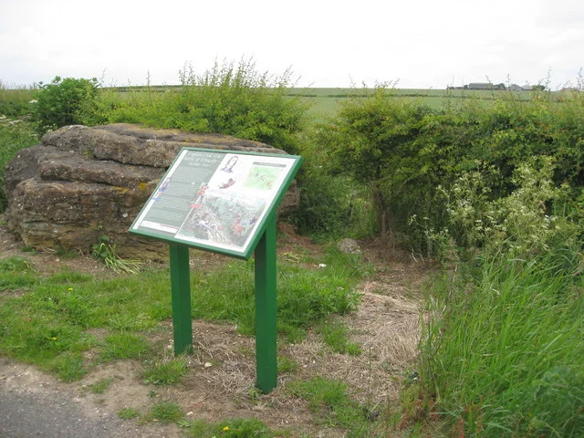 Relief map of Lincolnshire, UK.
Equirectangular map projection on WGS 84 datum, with N/S stretched 165%
Geographic limits:

West: 1.16W
East: 0.39E
North: 53.75N
South: 52.62N