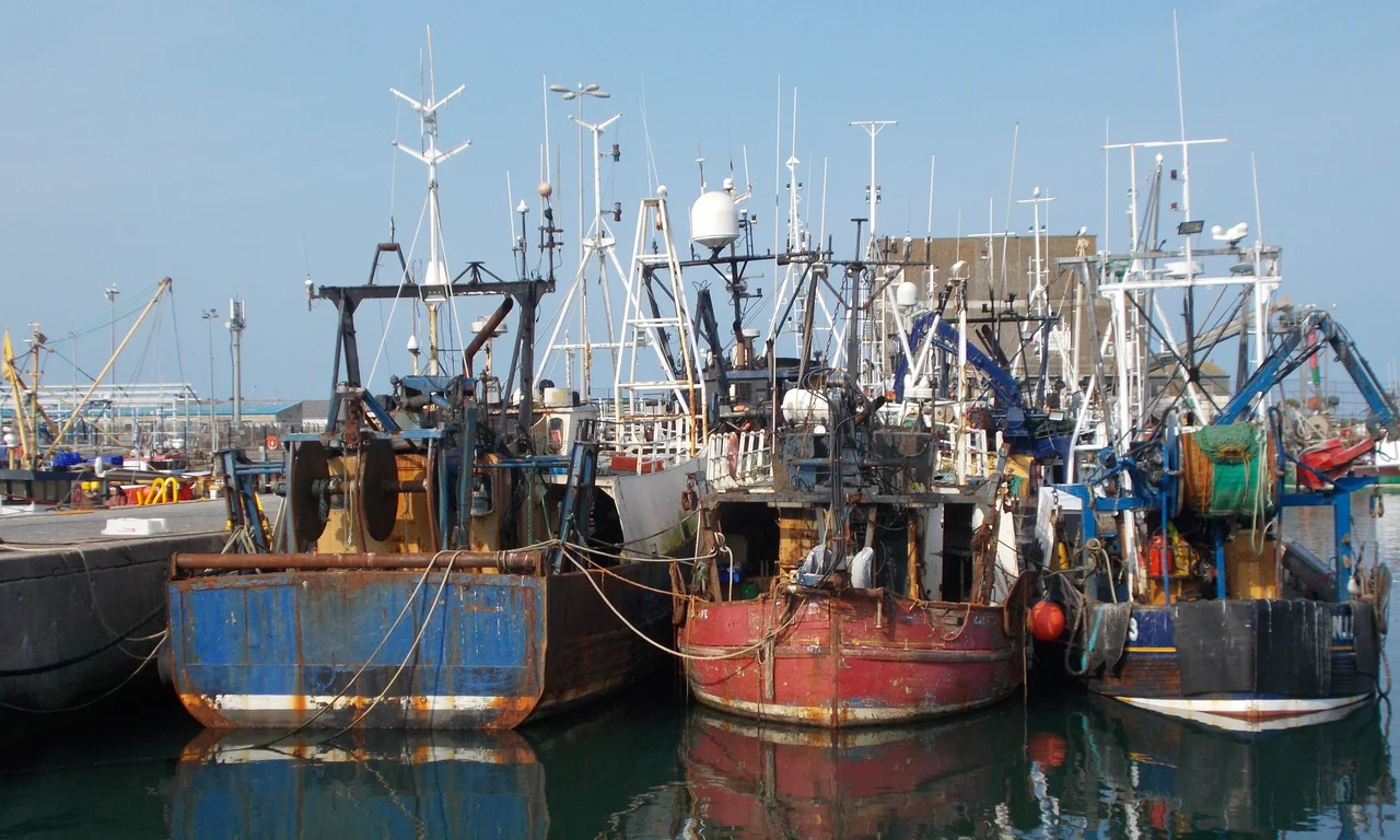 Fishing boats in Portavogie harbour, County Down, Northern Ireland