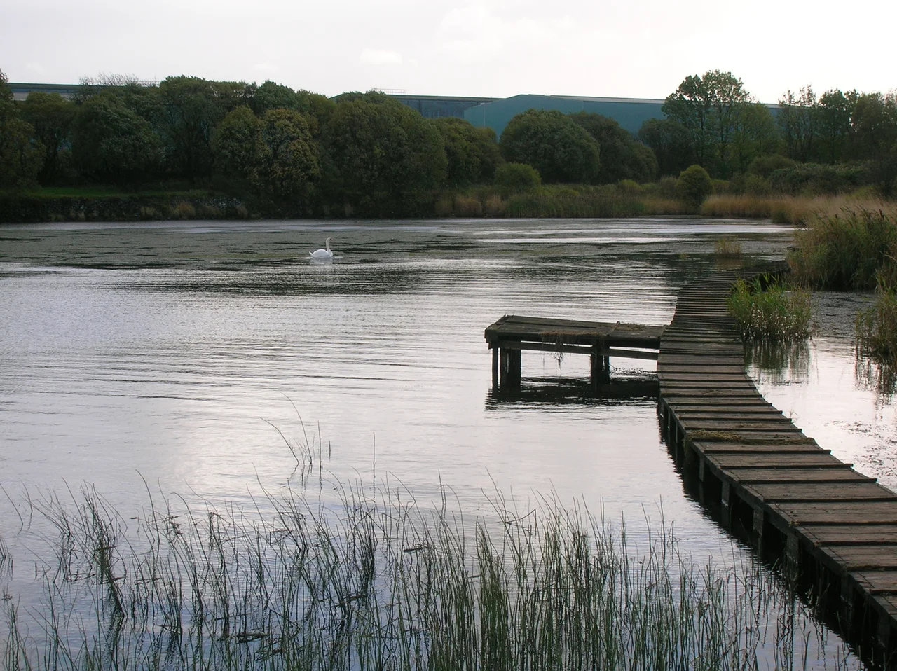 The lagoon-like southern extremity of Kilbirnie Loch, North Ayrshire, Scotland