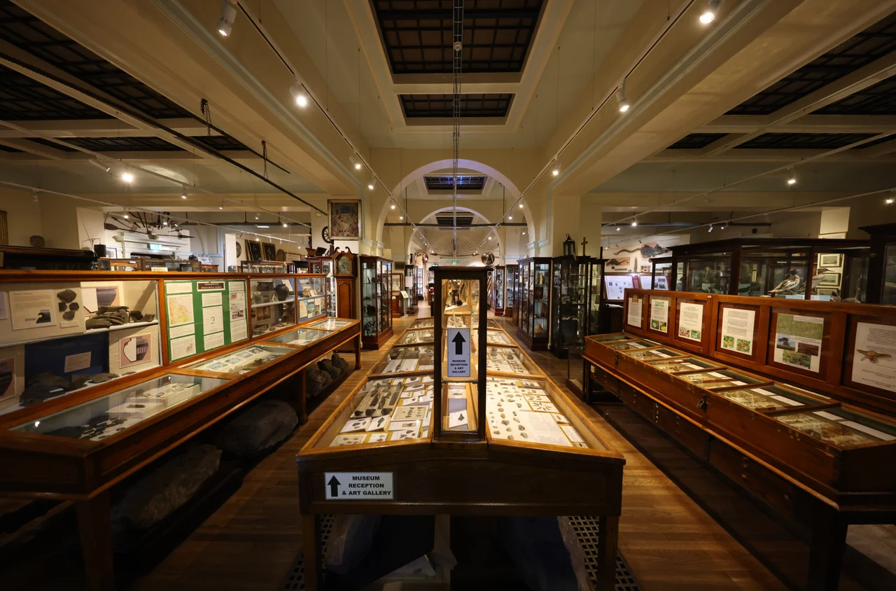 Photo of the interior of Whitby museum looking towards the entrance