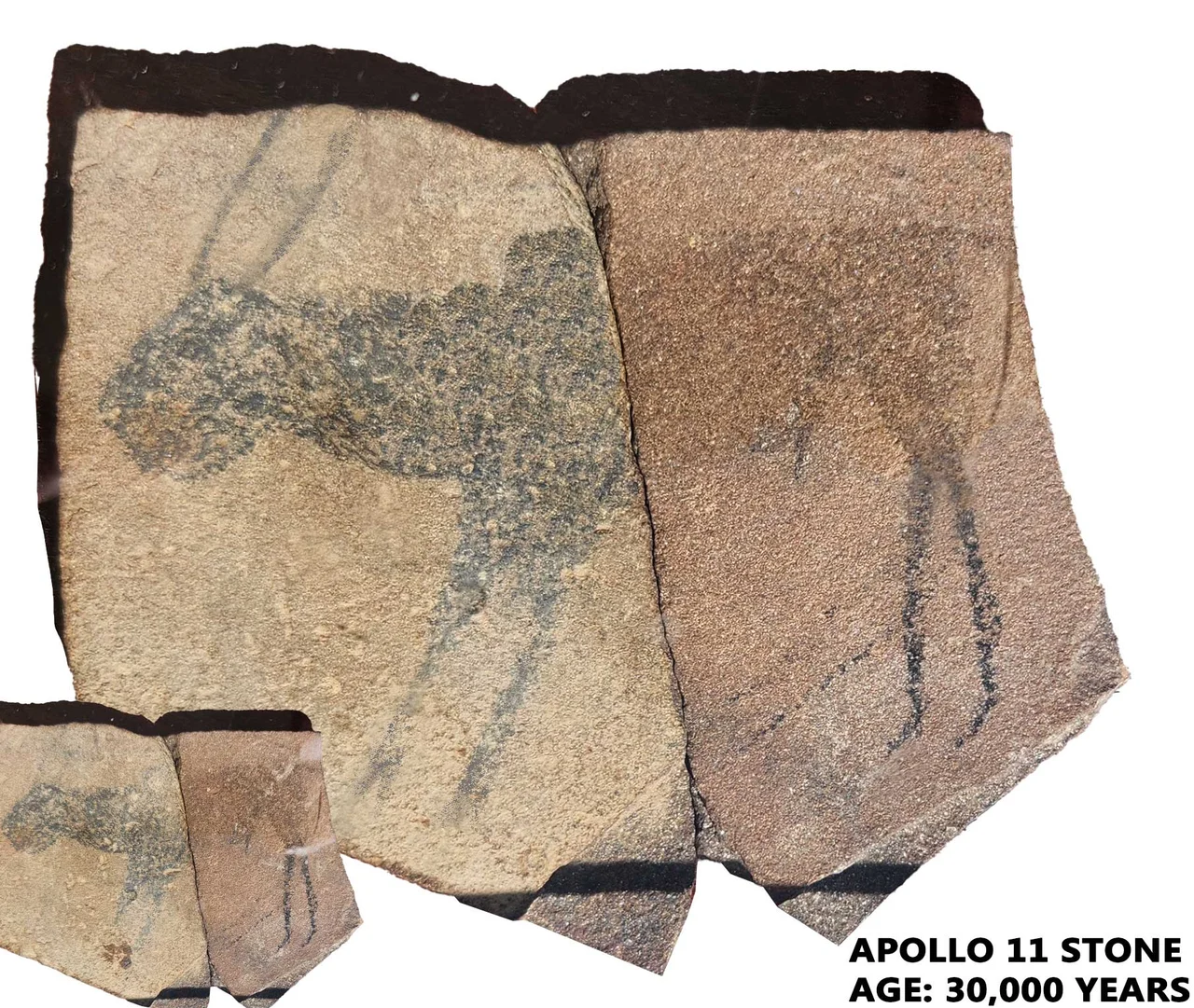 This is the most famous of the mobile art works discovered at the Apollo 11 Cave site. The work dates to 30,000 years BP by Carbon 14 dating. This is the oldest figurative art discovered in Africa. This stone shows a theriathropic form consisting of human and animals. The image has been slightly modified for clarity; the original is inset.