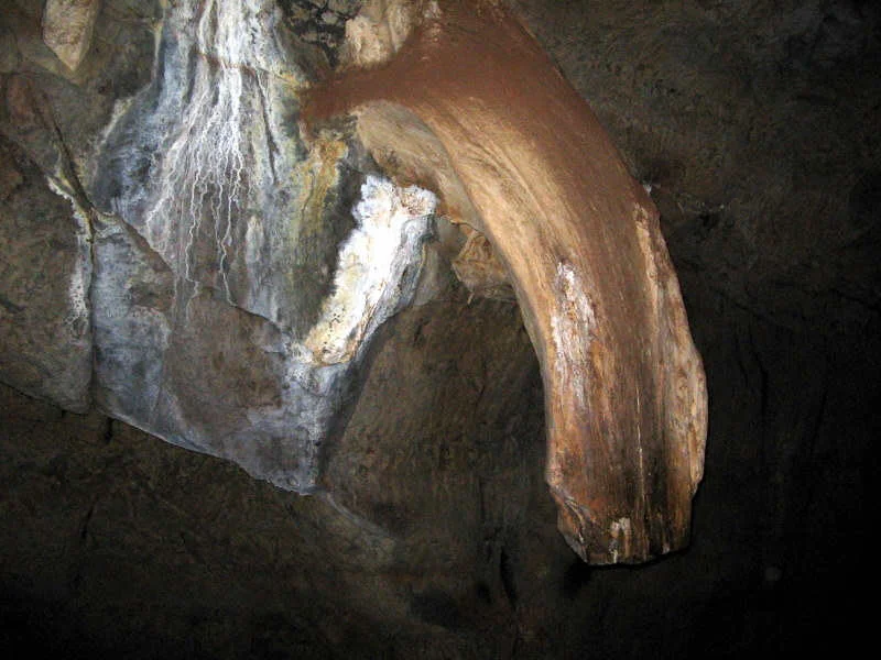 Picture taken by contributor (Claidheamhmor) at the Sudwala Caves on 2006-02-11, with a Canon Powershot A400 digital camera.