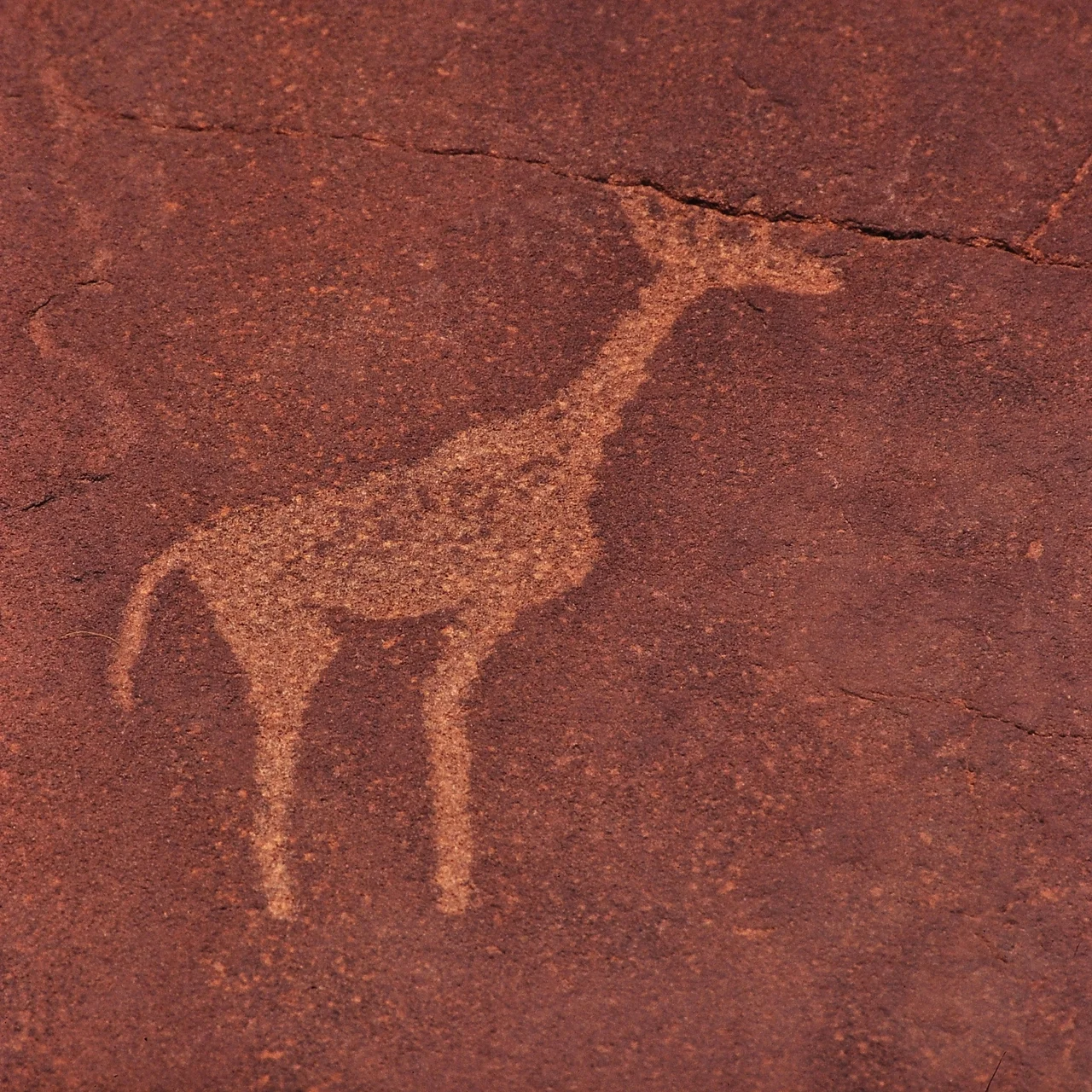 Giraffe, rock engraving in Twyfelfontein, Namibia