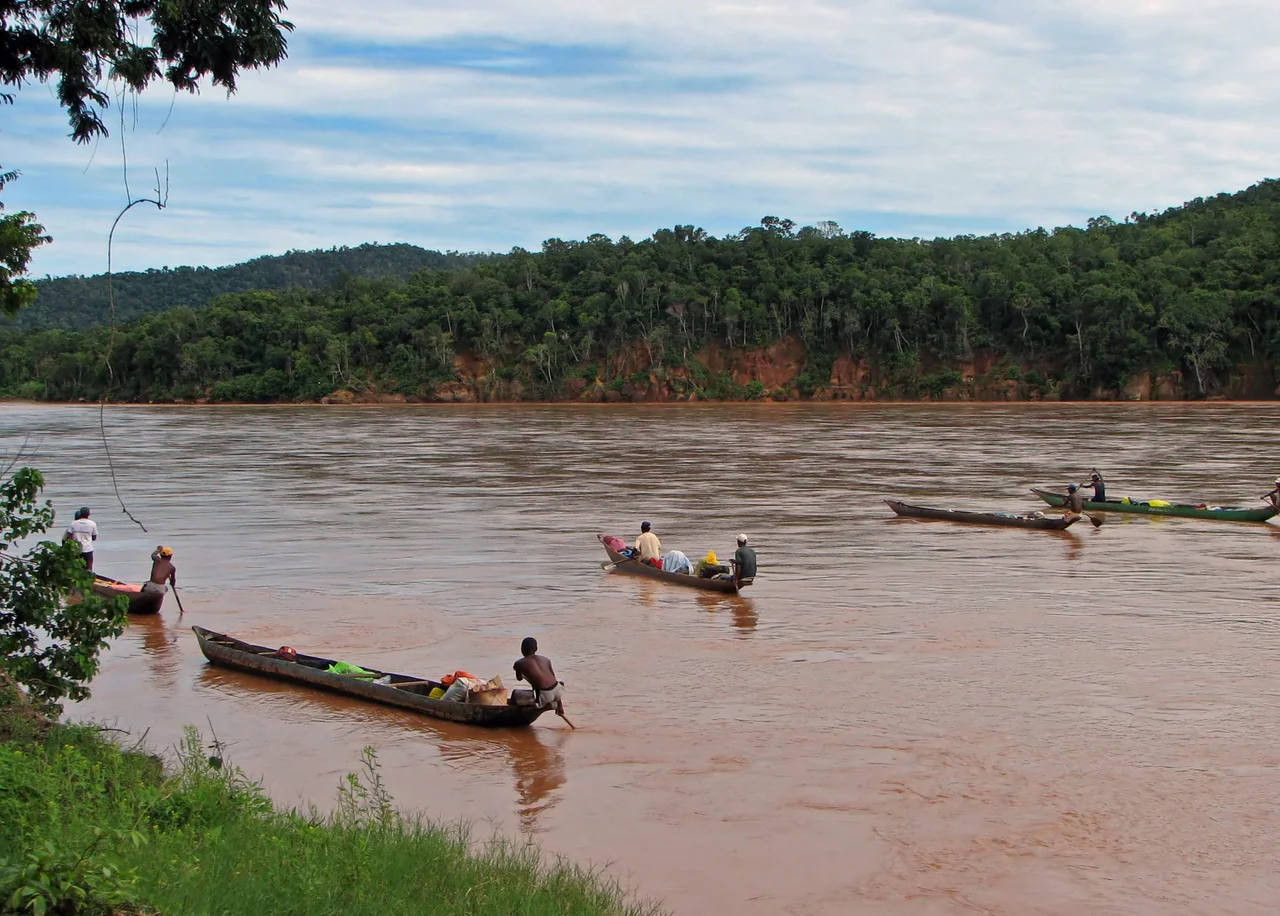 Pirogues on Tsiribihina river, Madagascar