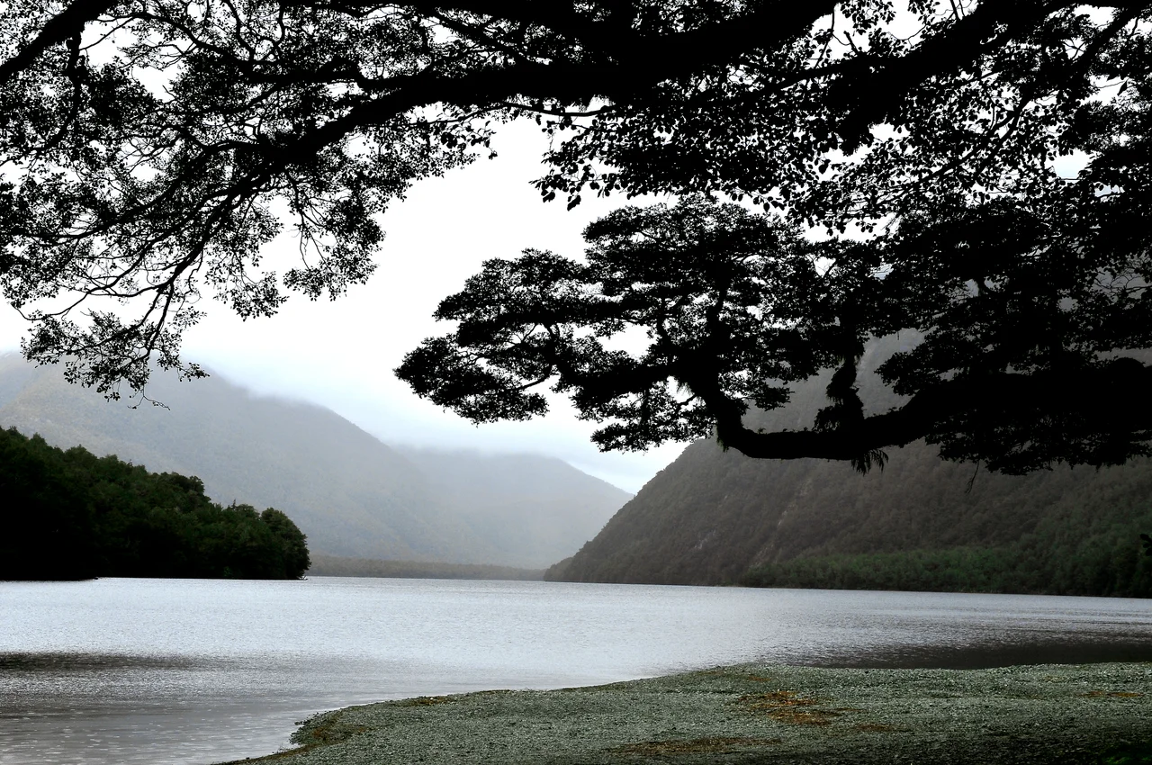 Neuseeland: Der Milford Sound, ein 14 km langer Fjord auf der Südinsel, ist Teil des Fiordlands National Parks und gehört mit zum Weltnaturerbe der UNESCO. Der Meeresarm ist umgeben von steil abfallenden Berge mit einer Höhe bis zu 1.6080 Meter NN und von zahlreichen Wasserfällen.