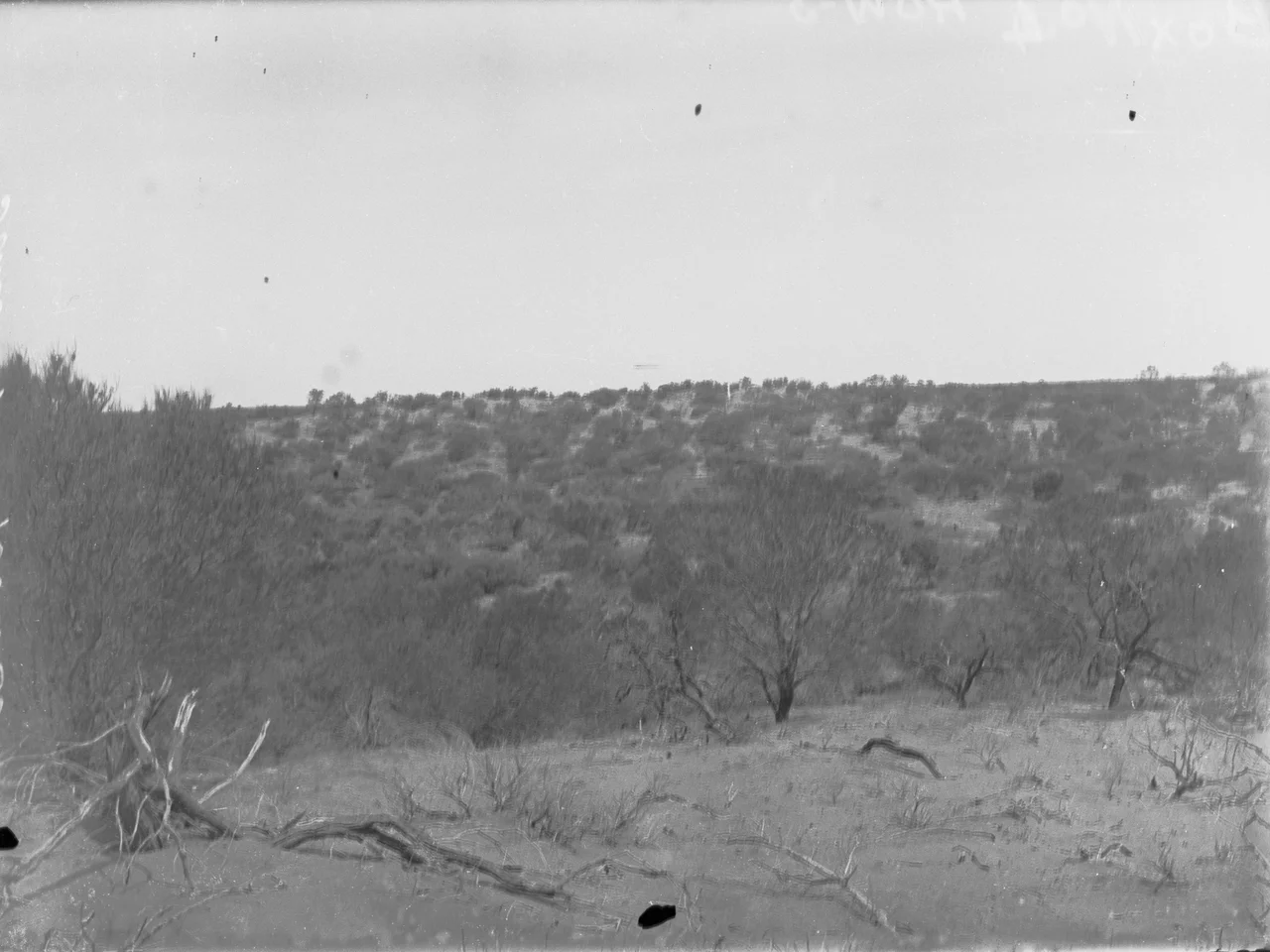 Commonwealth Railways G class locomotive no. G22 with a wood and water train at Ooldea, South Australia, on the Trans-Australian Railway.The locomotive was built by Toowoomba Foundry, Toowoomba, Queensland, Australia.  It entered service in June 1917, was officially withdrawn in July 1952, and was scrapped in March 1959.Some of the information provided here about the image is obtained from Fluck, Ronald E; Marshall, Barry; Wilson, John (1996). Locomotives and Railcars of the Commonwealth Railways. Welland, SA: Gresley Publishing, p. 29. ISBN 0959969039.
