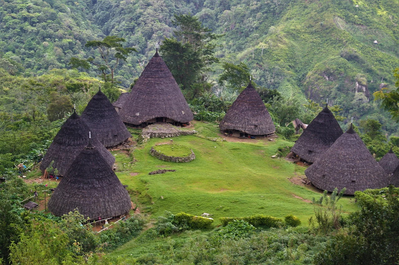 Caci Dance is one of the traditional arts of a kind of typical war dance from the Manggarai community on Flores Island, East Nusa Tenggara Province, Indonesia.
