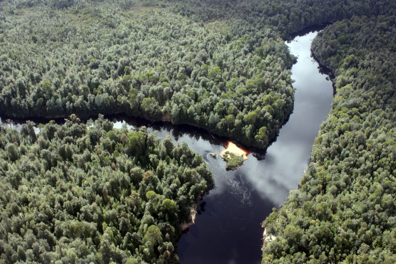 w:Franklin River, Tasmania  meets the w:Gordon River, Tasmania
