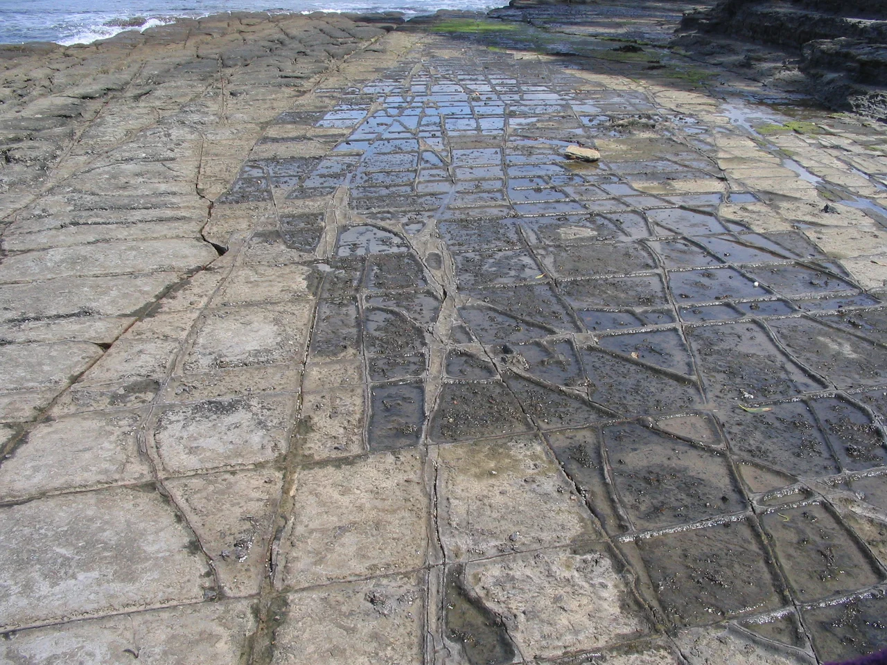 "Tessellated Pavement", a natural rock formation on the Tasman Peninsula, Tasmania, Australia.