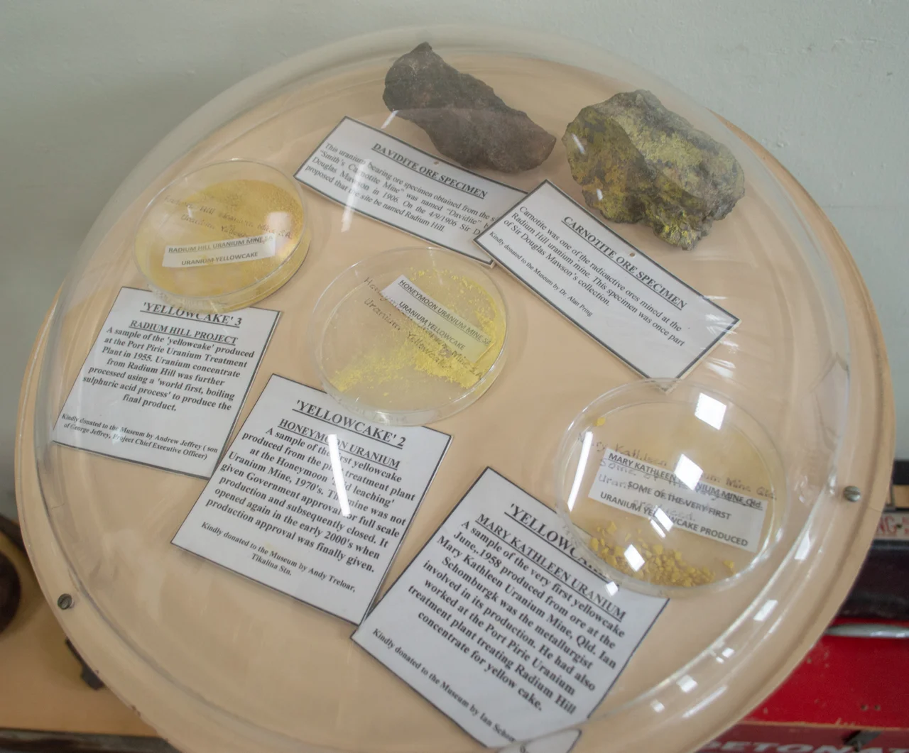 A table showcasing five radioactive items under a perspex bubble shield. Part of the Radium Hill Heritage Museum. (top) Davidite Ore, Carnotite Ore. (Bottom) Three types of yellowcake mined from various locations around Australia.