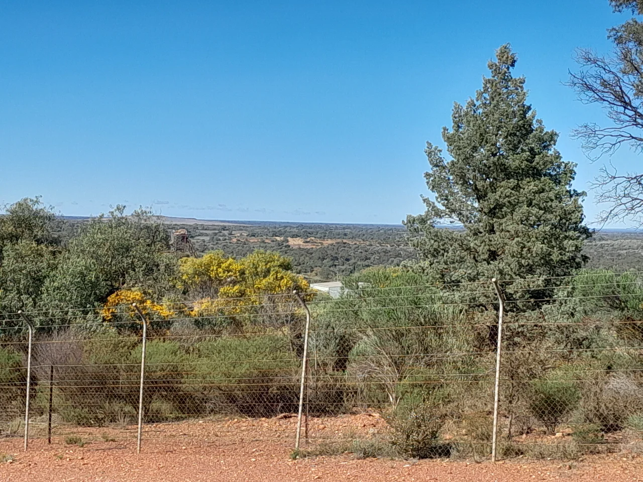 Cobar, NSW - View from Fort Bourke Hill, over former site of Dapville &amp; Wrightville (Aug 2024). The headframe of the Chesney mine is visible on the left, and the view is looking toward the New Occidental mine. The tailings heaps of the mine are visible in the distance, behind the Chesney headframe. Wrightville and Dapville were former mining villages that are now uninhabited parts of Cobar.