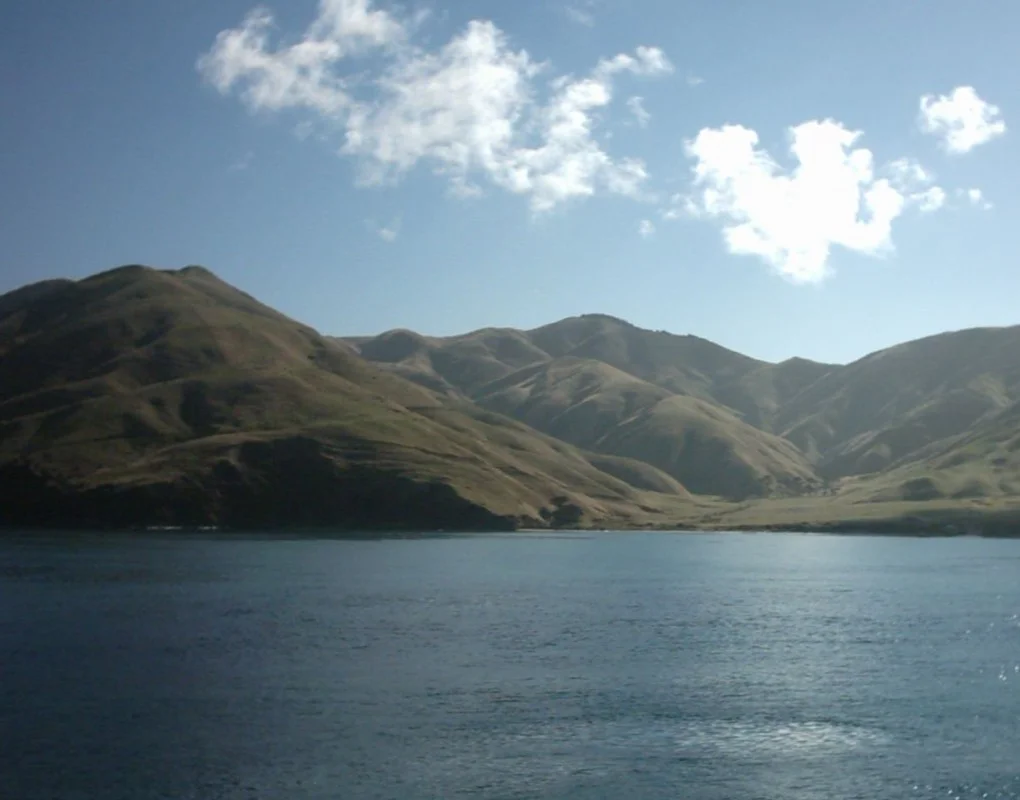 The Marlborough Sounds, New Zealand, as seen from the Wellington-Picton ferry sometime on a bright winter day.