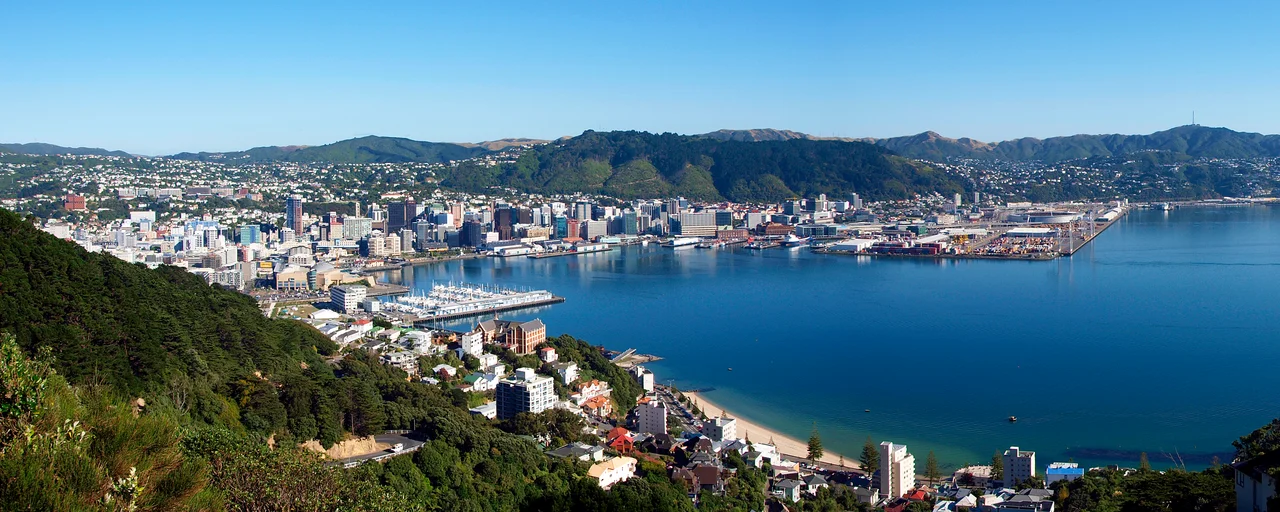 Wellington, New Zealand, panorama view to the city from hillside of Oriental Bay