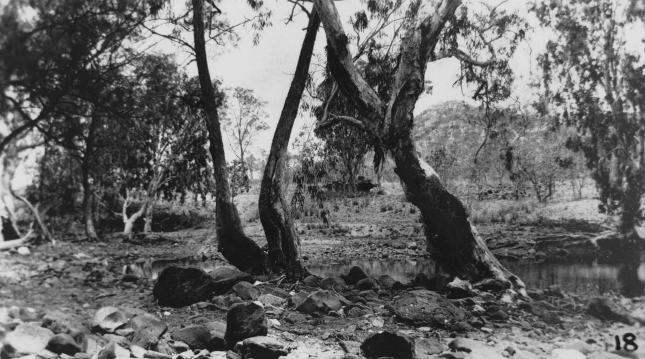 Laura-Maytown Road near the Palmer River ca 1930