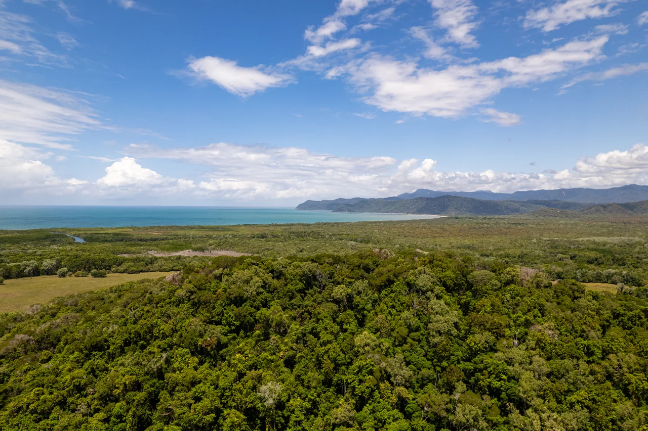 Daintree National Parc Nationalpark, Australien