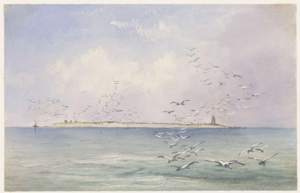Raines Islet on the Great Barrier Reef, 1844