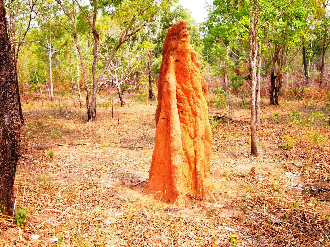 Rumah Semut atau disebut juga musamus merupakan ciri khas dari Taman Nasional Wasur di Merauke, Papua. Bentuknya berupa lapisan tanah yang menjulang tinggi antara 2-5 meter dan dibangun oleh rayap-rayap dengan bahan dasar tanah, tanaman kering, dan air liur rayap sebagai perekat. Walau bentuknya seperti itu namun kekuatannya lumayan kokoh dan tidak mudah runtuh. Jumlahnya bisa ratusan dan tersebar di Taman Nasional Wasur dan mudah terlihat dari jalan raya.
