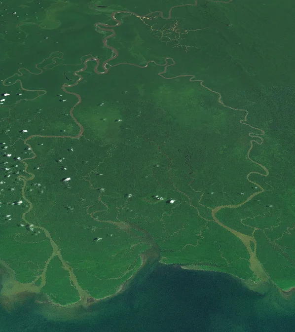 NASA World Wind image of the Purari River