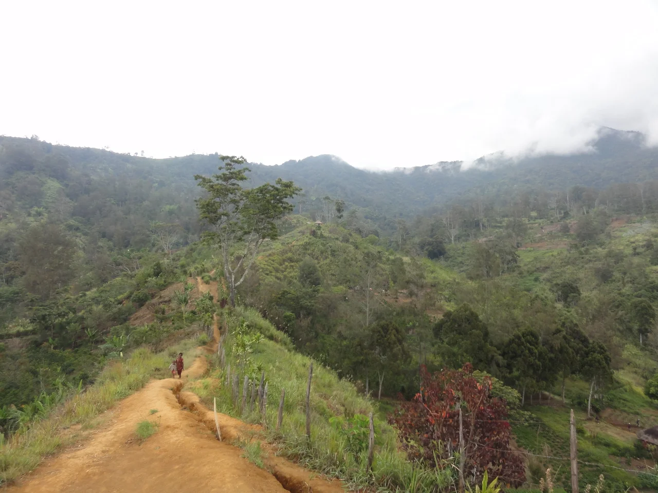 Learn more about Papua New Guinea on eGuide Travel where we did a review. A country of a million journeys and not a place with many tourists.