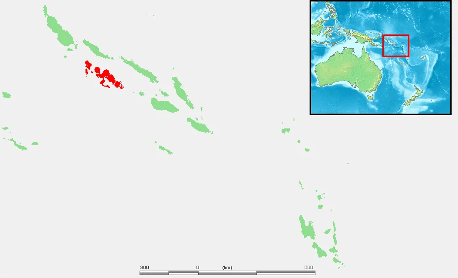 Island of  Solomon Islands - New Georgia Islands.PNG