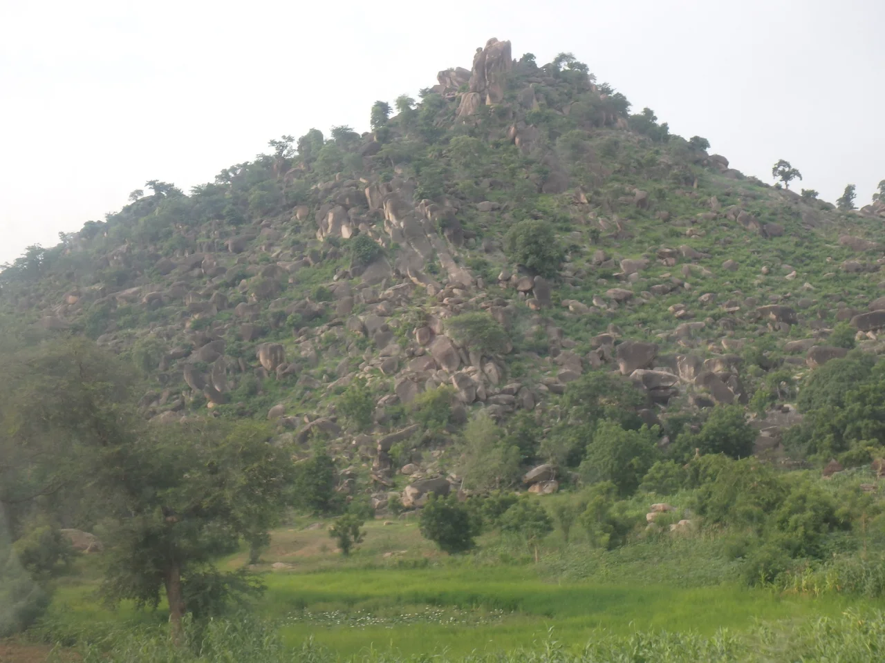 This is an image from