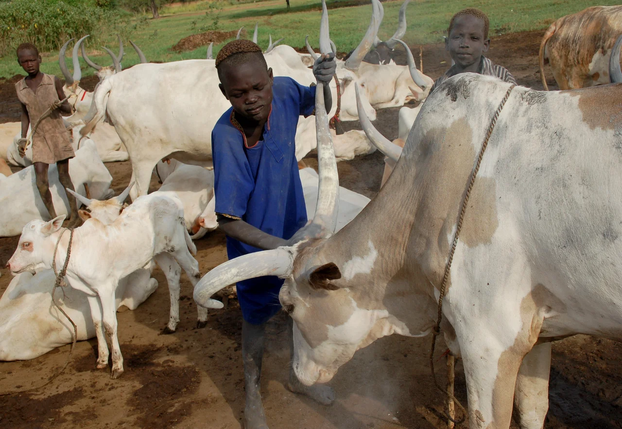 An image taken during a November 2012 visit to a cattle camp in Rumbek.