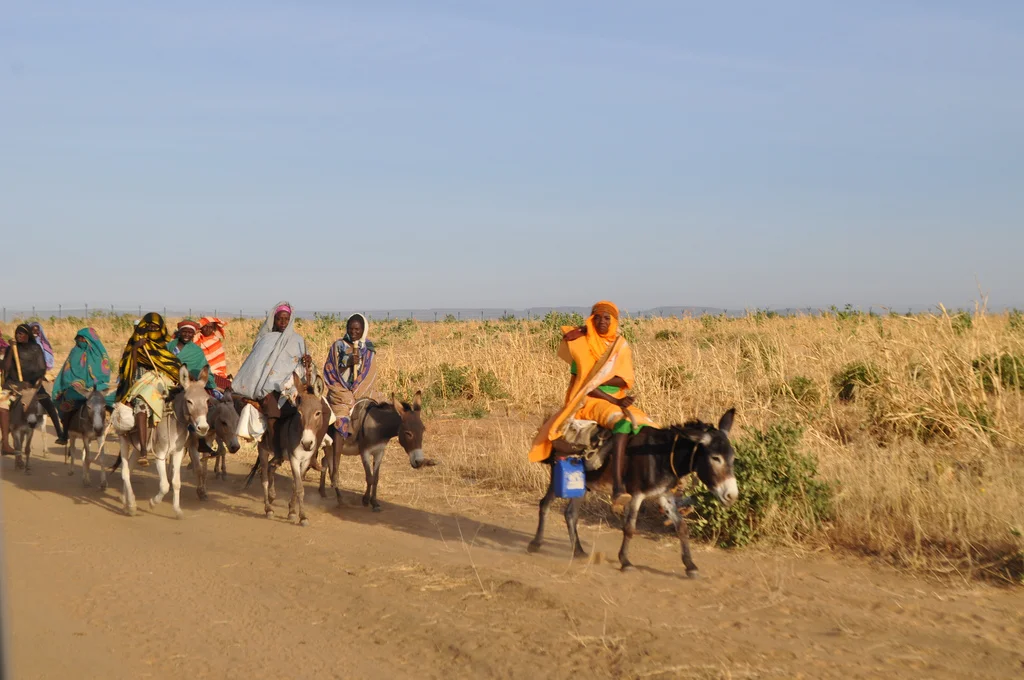 Darfuris travelling along a road in West Darfur.