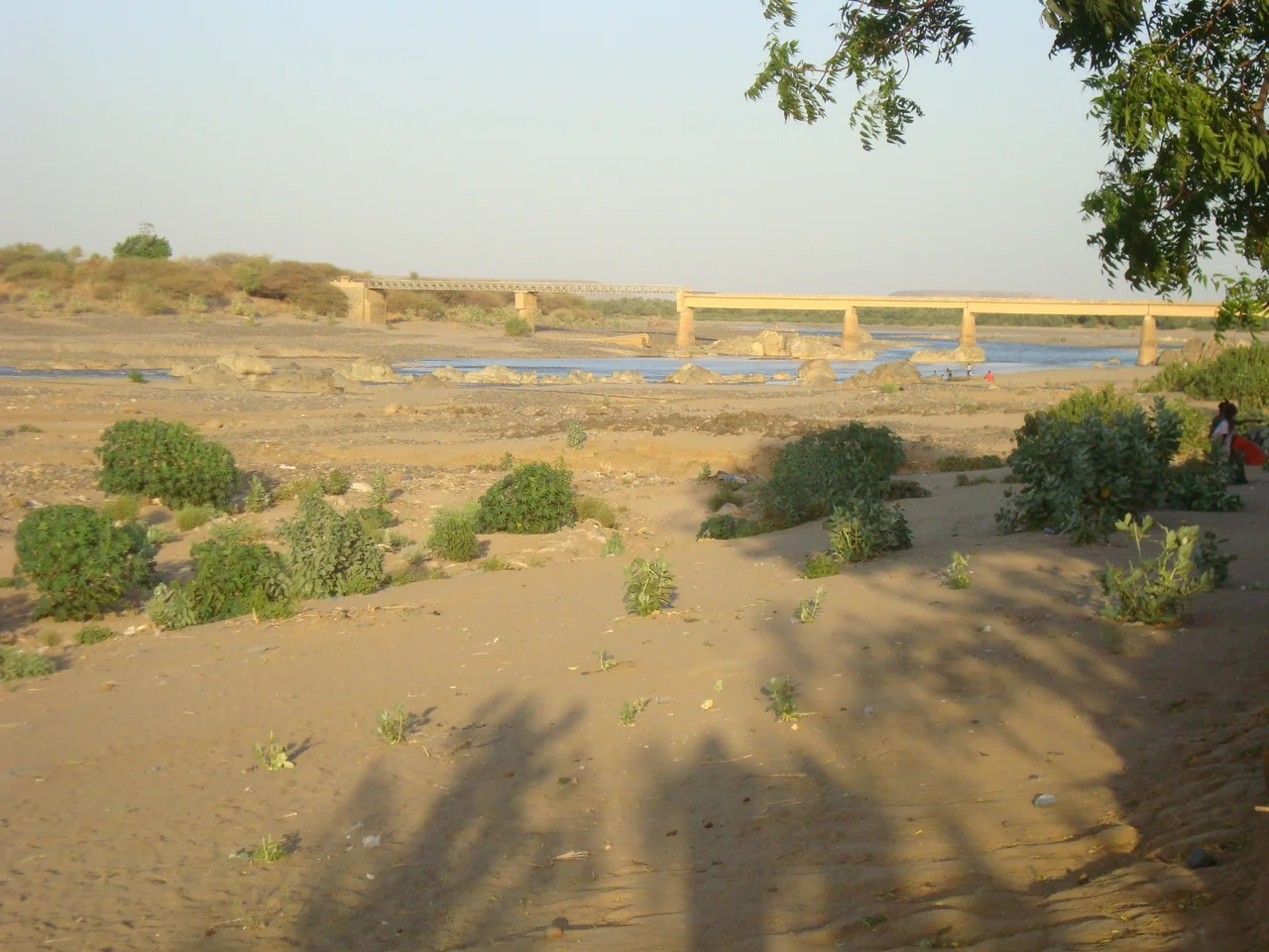 Humera in Tigray near the border with Sudan and Eritrea