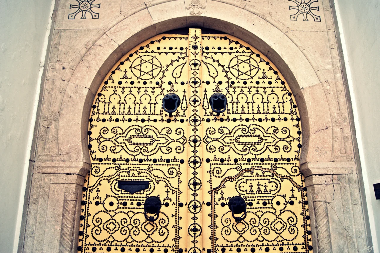 Porte dans la médina de Tunis