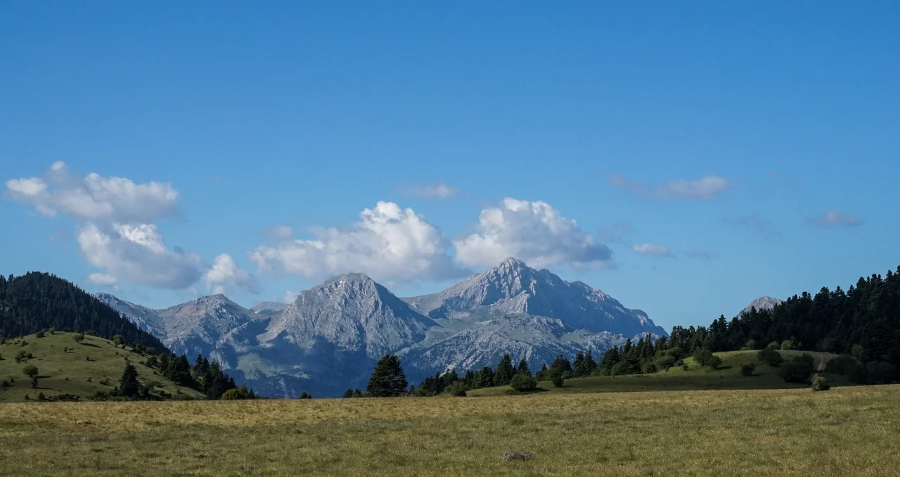 This is a a picture of a Natura 2000 protected area with ID