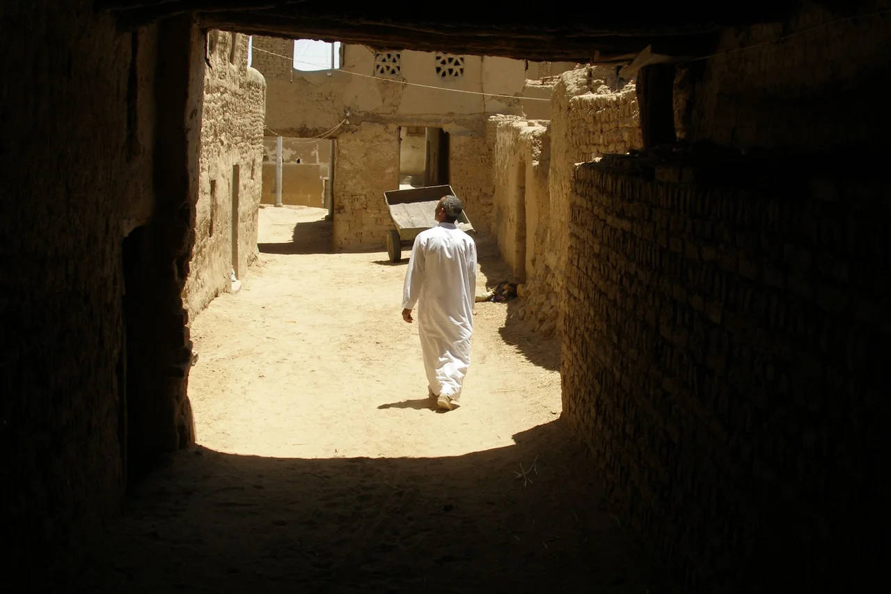 Al-Qasr city, Dakhla oasis (2007-05-219)