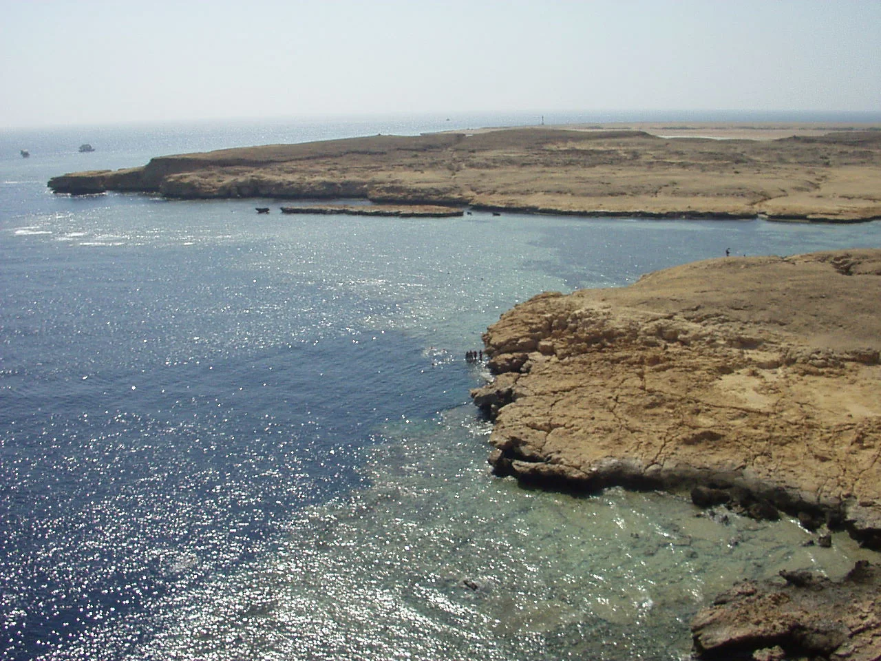 Coral reef in Ras Muhammad nature park at southernmost point of Sinai Peninsula, Egypt